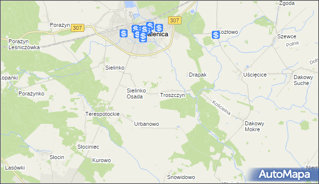 mapa Troszczyn gmina Opalenica, Troszczyn gmina Opalenica na mapie Targeo