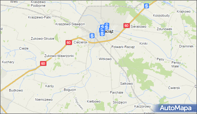 mapa Witkowo gmina Raciąż, Witkowo gmina Raciąż na mapie Targeo