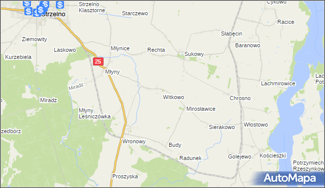 mapa Witkowo gmina Strzelno, Witkowo gmina Strzelno na mapie Targeo