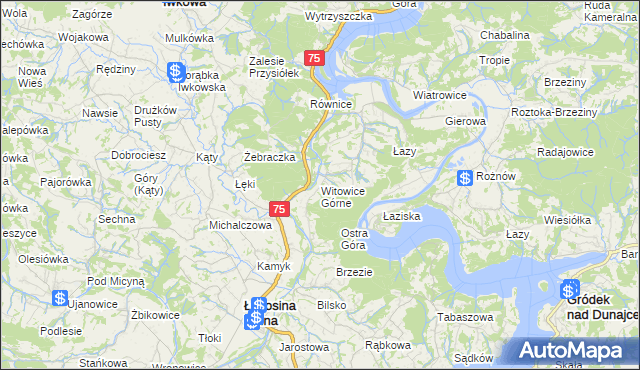 mapa Witowice Górne, Witowice Górne na mapie Targeo