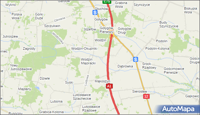 mapa Wodzinek gmina Tuszyn, Wodzinek gmina Tuszyn na mapie Targeo