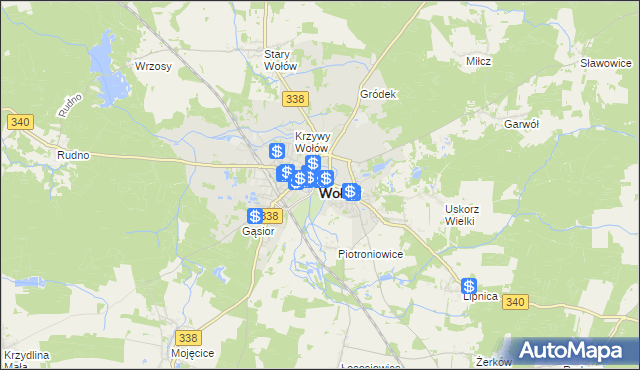 mapa Wołów, Wołów na mapie Targeo