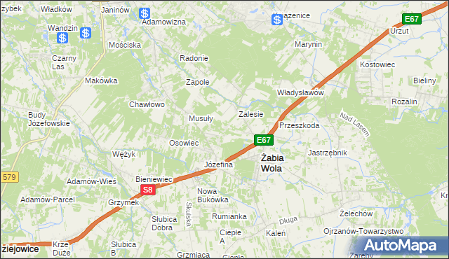 mapa Wycinki Osowskie, Wycinki Osowskie na mapie Targeo