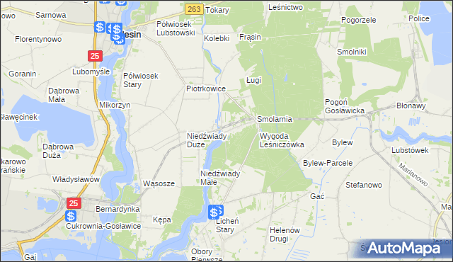 mapa Wygoda gmina Ślesin, Wygoda gmina Ślesin na mapie Targeo