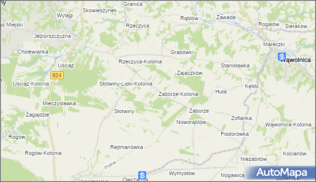mapa Zaborze-Kolonia, Zaborze-Kolonia na mapie Targeo
