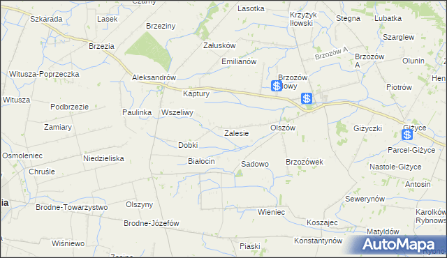 mapa Zalesie gmina Iłów, Zalesie gmina Iłów na mapie Targeo