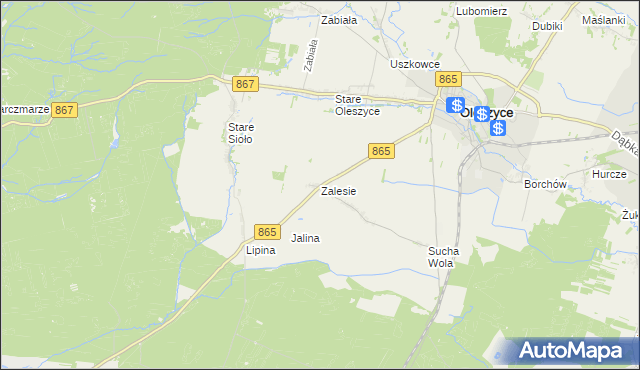 mapa Zalesie gmina Oleszyce, Zalesie gmina Oleszyce na mapie Targeo