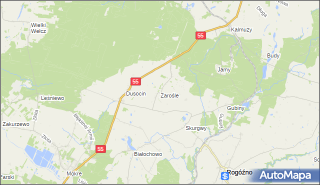 mapa Zarośle gmina Rogóźno, Zarośle gmina Rogóźno na mapie Targeo