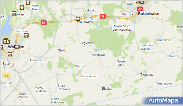 mapa Adolfowo gmina Rakoniewice, Adolfowo gmina Rakoniewice na mapie Targeo