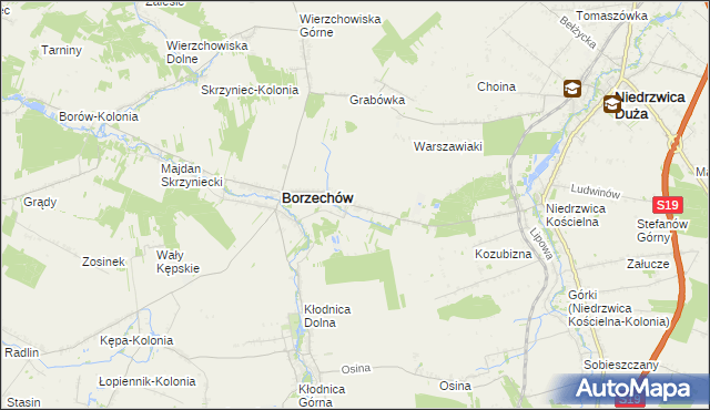 mapa Borzechów-Kolonia, Borzechów-Kolonia na mapie Targeo