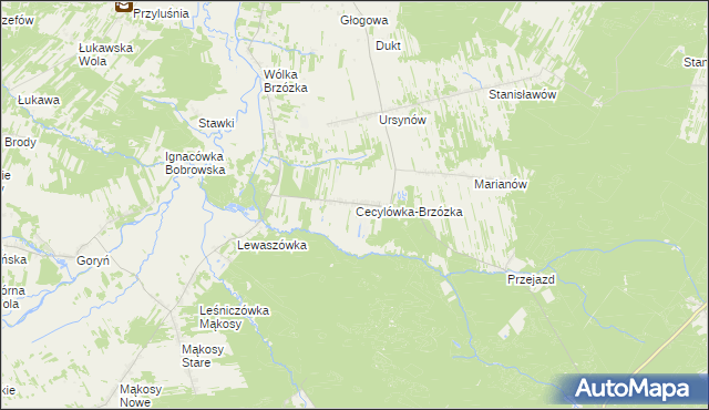 mapa Cecylówka-Brzózka, Cecylówka-Brzózka na mapie Targeo