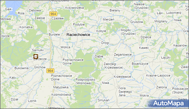 mapa Dąbie gmina Raciechowice, Dąbie gmina Raciechowice na mapie Targeo