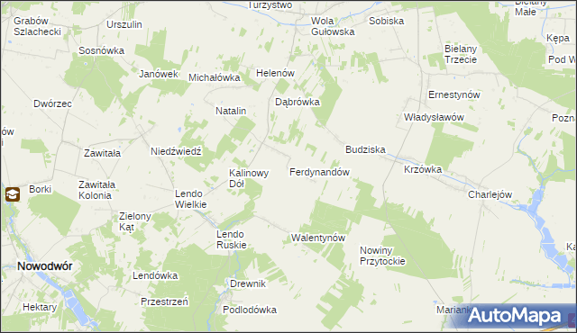 mapa Ferdynandów gmina Adamów, Ferdynandów gmina Adamów na mapie Targeo