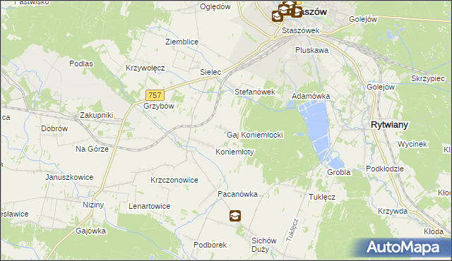 mapa Gaj Koniemłocki, Gaj Koniemłocki na mapie Targeo