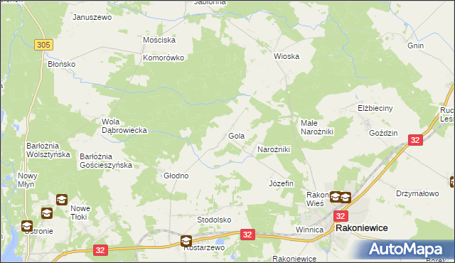 mapa Gola gmina Rakoniewice, Gola gmina Rakoniewice na mapie Targeo