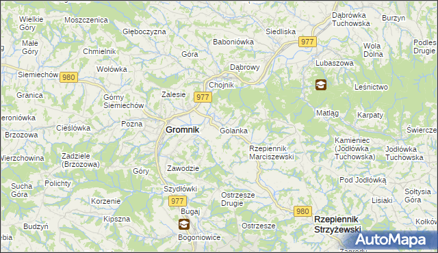 mapa Golanka gmina Gromnik, Golanka gmina Gromnik na mapie Targeo