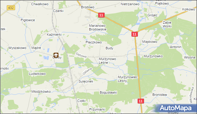 mapa Murzynowo Leśne, Murzynowo Leśne na mapie Targeo