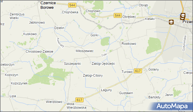 mapa Toki gmina Czernice Borowe, Toki gmina Czernice Borowe na mapie Targeo