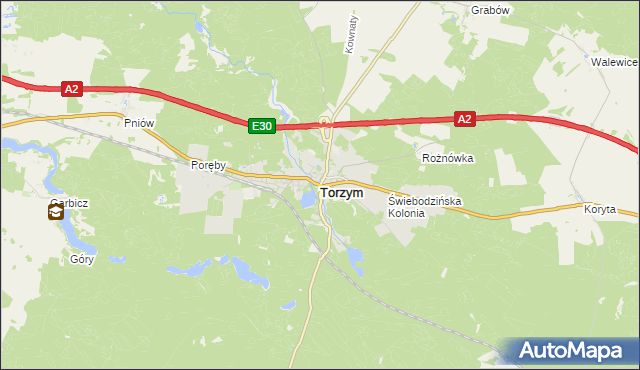 mapa Torzym, Torzym na mapie Targeo