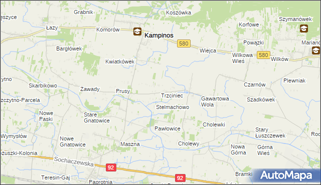 mapa Trzciniec gmina Leszno, Trzciniec gmina Leszno na mapie Targeo