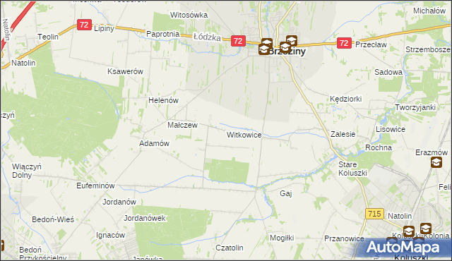 mapa Witkowice gmina Brzeziny, Witkowice gmina Brzeziny na mapie Targeo