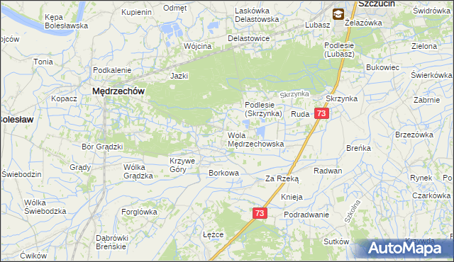 mapa Wola Mędrzechowska, Wola Mędrzechowska na mapie Targeo