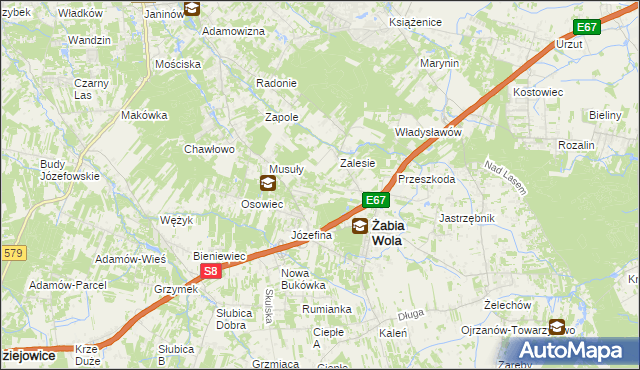 mapa Wycinki Osowskie, Wycinki Osowskie na mapie Targeo