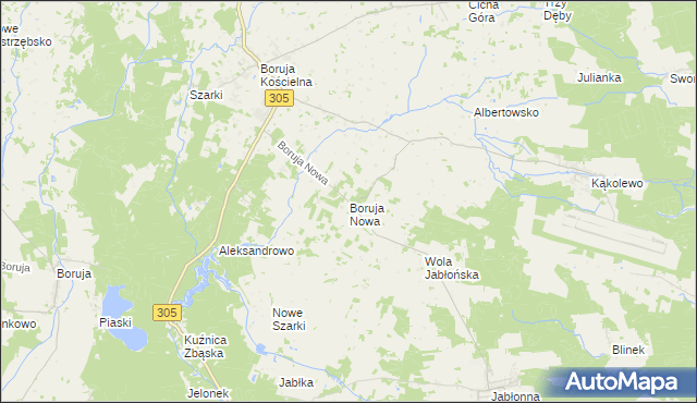 mapa Boruja Nowa, Boruja Nowa na mapie Targeo