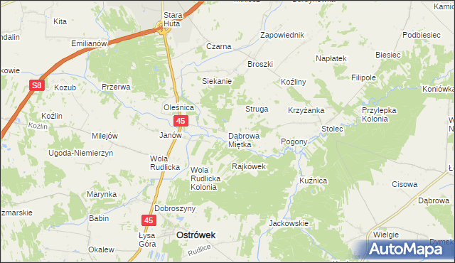 mapa Dąbrowa Miętka, Dąbrowa Miętka na mapie Targeo