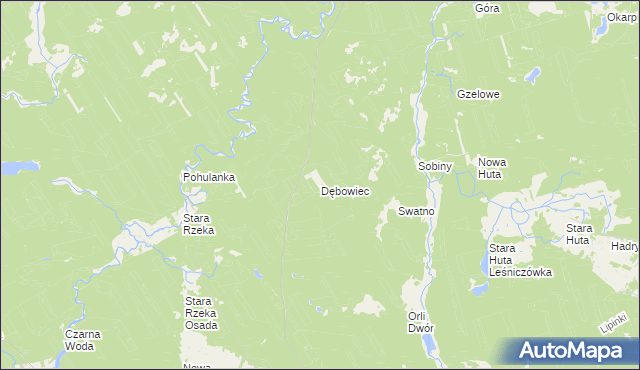 mapa Dębowiec gmina Osie, Dębowiec gmina Osie na mapie Targeo