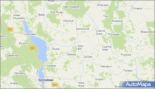 mapa Dziki Bór, Dziki Bór na mapie Targeo