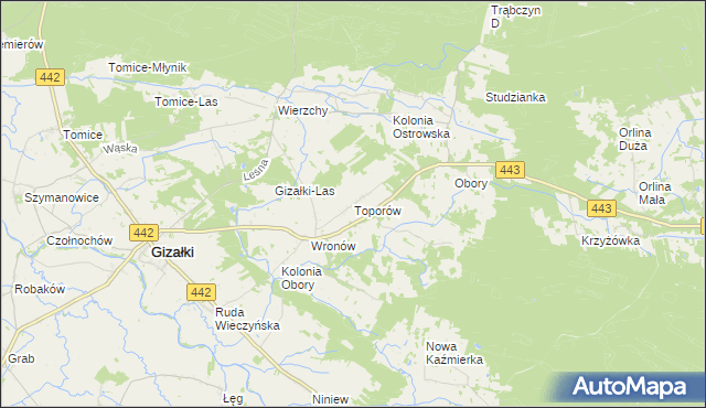 mapa Toporów gmina Gizałki, Toporów gmina Gizałki na mapie Targeo