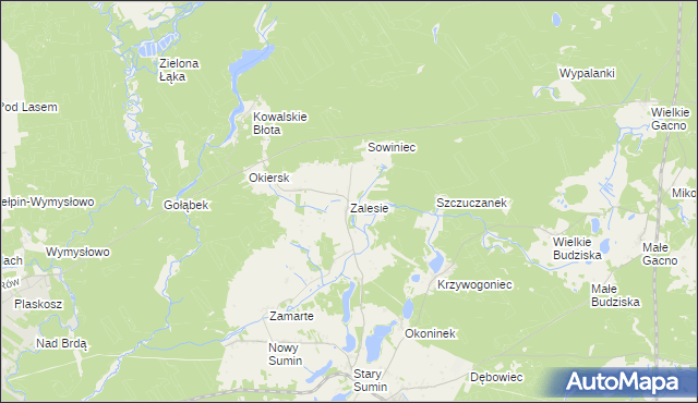 mapa Zalesie gmina Cekcyn, Zalesie gmina Cekcyn na mapie Targeo