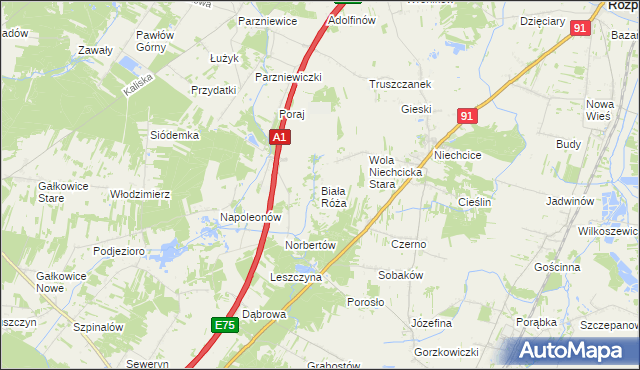 mapa Biała Róża gmina Rozprza, Biała Róża gmina Rozprza na mapie Targeo