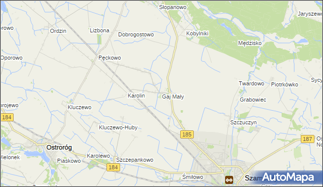 mapa Gaj Mały gmina Obrzycko, Gaj Mały gmina Obrzycko na mapie Targeo