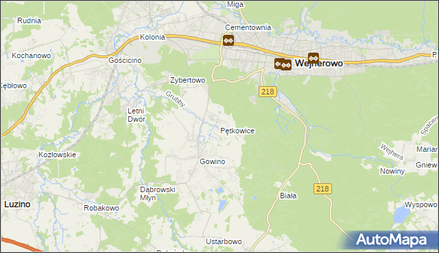 mapa Pętkowice gmina Wejherowo, Pętkowice gmina Wejherowo na mapie Targeo