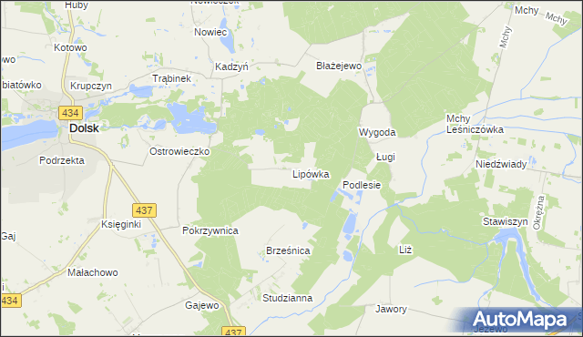 mapa Lipówka gmina Dolsk, Lipówka gmina Dolsk na mapie Targeo