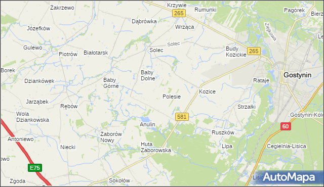 mapa Polesie gmina Gostynin, Polesie gmina Gostynin na mapie Targeo