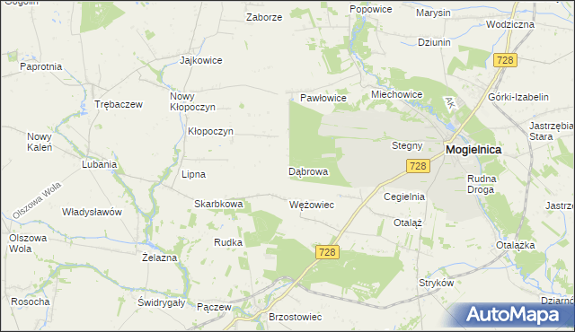 mapa Dąbrowa gmina Mogielnica, Dąbrowa gmina Mogielnica na mapie Targeo