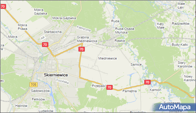 mapa Miedniewice gmina Skierniewice, Miedniewice gmina Skierniewice na mapie Targeo