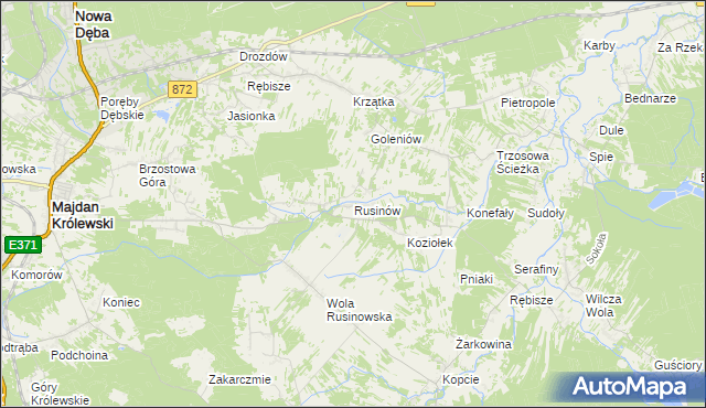 mapa Rusinów gmina Majdan Królewski, Rusinów gmina Majdan Królewski na mapie Targeo