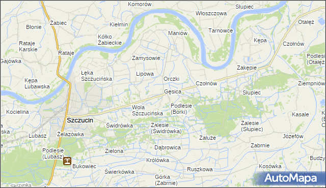 mapa Borki gmina Szczucin, Borki gmina Szczucin na mapie Targeo