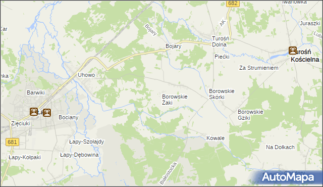 mapa Borowskie Żaki, Borowskie Żaki na mapie Targeo