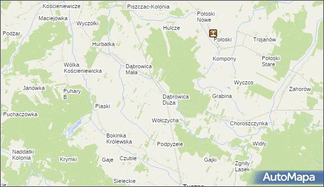 mapa Dąbrowica Duża gmina Tuczna, Dąbrowica Duża gmina Tuczna na mapie Targeo