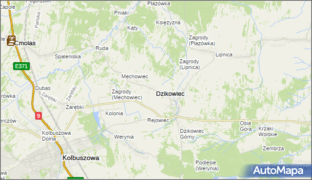 mapa Dzikowiec powiat kolbuszowski, Dzikowiec powiat kolbuszowski na mapie Targeo