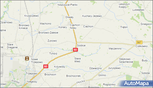 mapa Goślice, Goślice na mapie Targeo