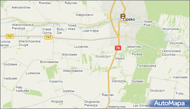 mapa Gruszczyn gmina Lipsko, Gruszczyn gmina Lipsko na mapie Targeo