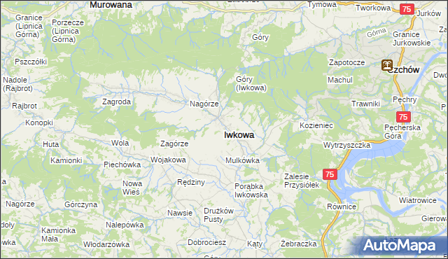 mapa Iwkowa, Iwkowa na mapie Targeo