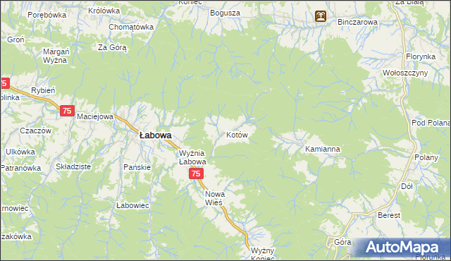 mapa Kotów gmina Łabowa, Kotów gmina Łabowa na mapie Targeo