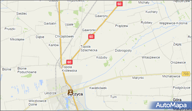 mapa Kozuby gmina Łęczyca, Kozuby gmina Łęczyca na mapie Targeo